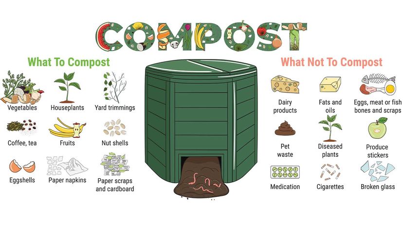 Composting basics