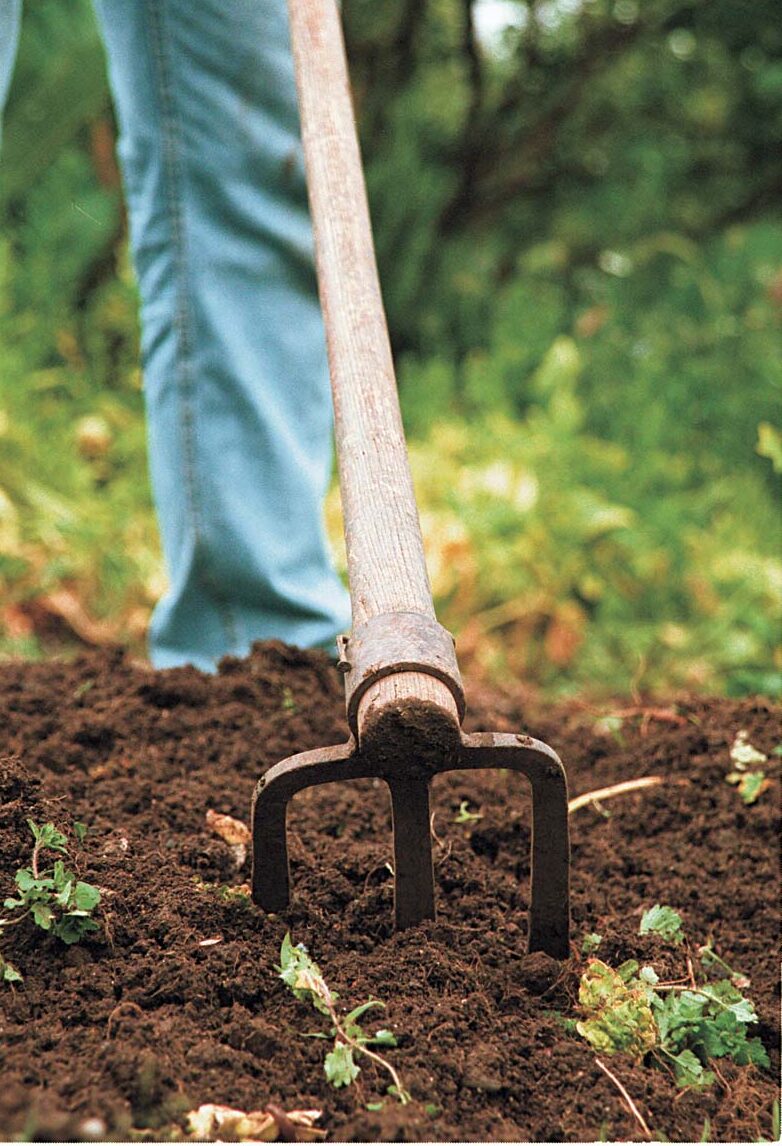 Basic gardening tools and soil preparation