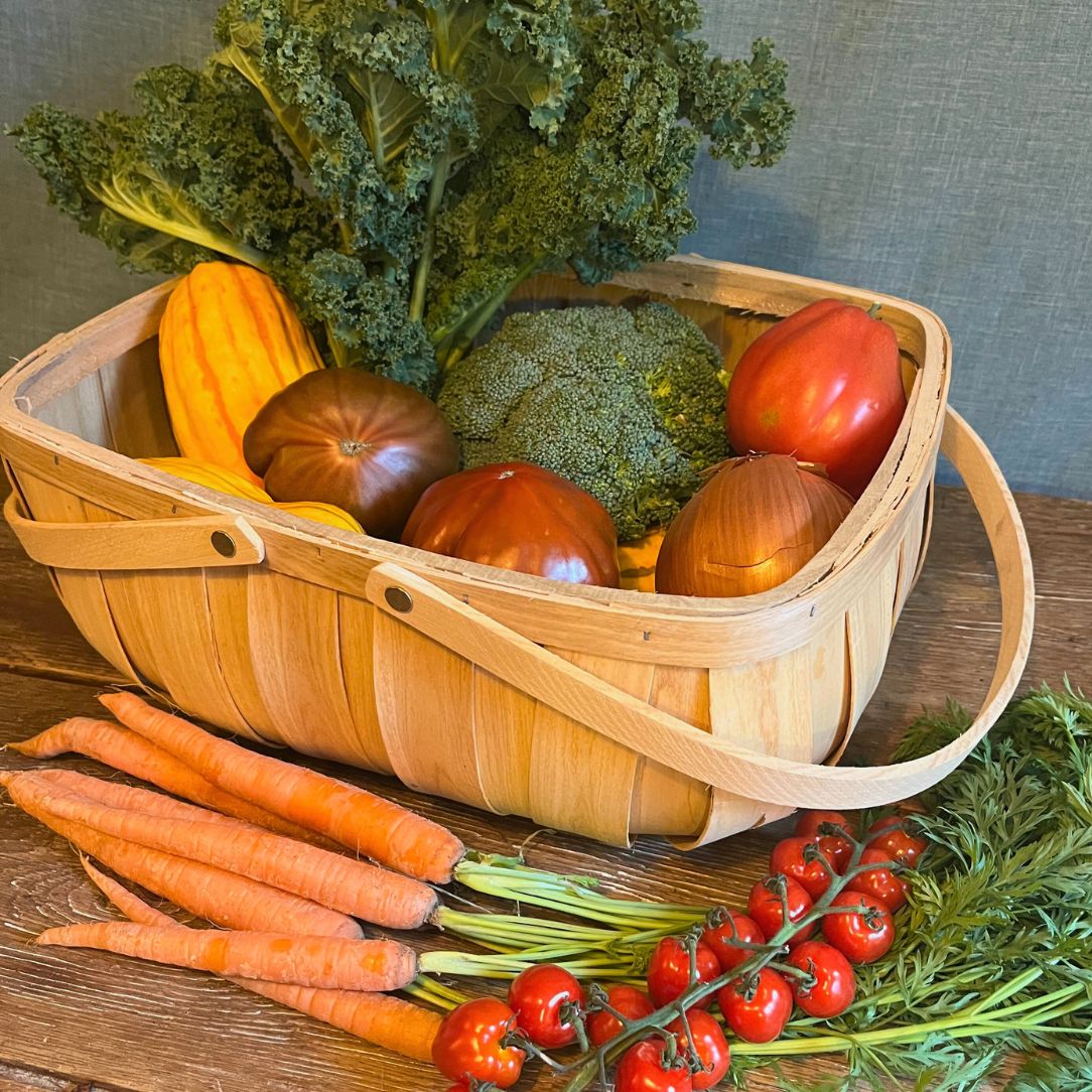Fresh harvest of vegetables in basket