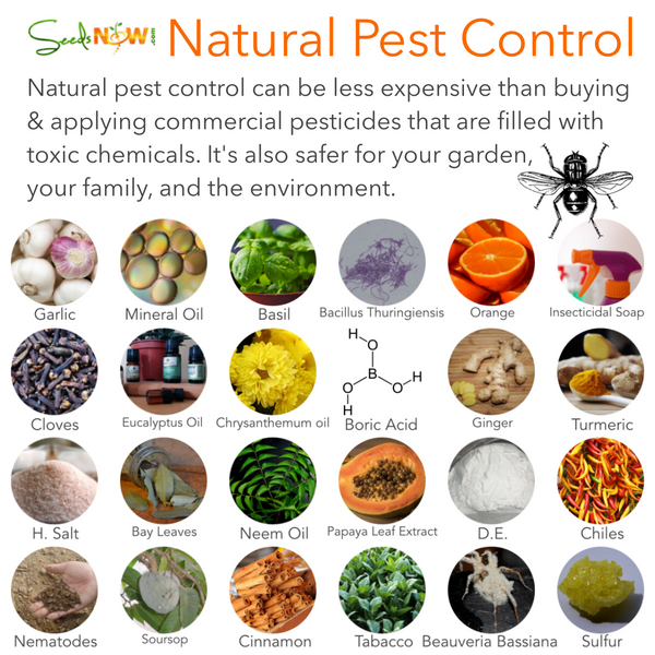 Natural pest control ingredients